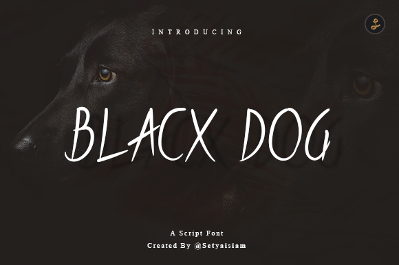 Blacx Dog Font: A Polished Touch for Your Brand’s Handwritten Style