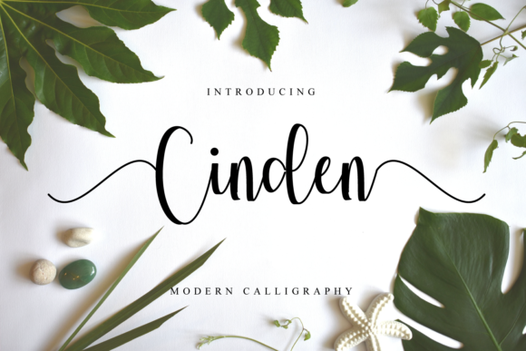Cinden Font for Authentic and Professional Branding