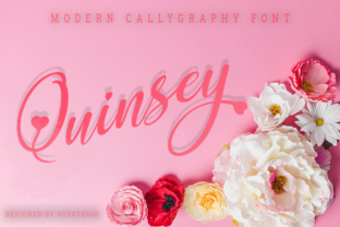 Quinsey: A Premium Handwritten Font for Elegant Campaign Design