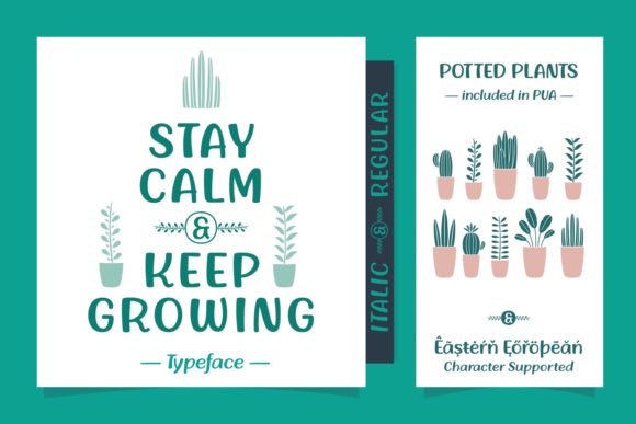 Stay Calm Keep Growing Font for Web Design Projects